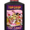 Top Candy