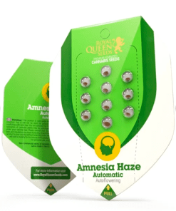 Amnesia Haze Automatic x3 - Royal Queen Seeds