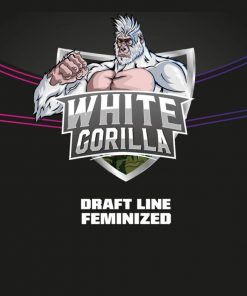 BSF White Gorilla x12