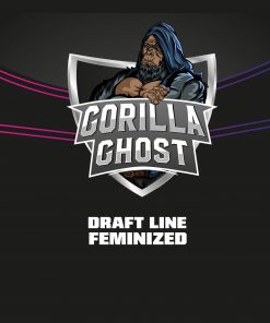 Gorilla Ghost x12