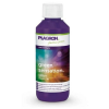 Plagron Green Sensation 100ml