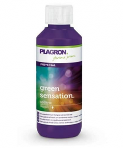 Plagron Green Sensation 100ml