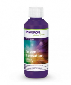 Plagron Green Sensation 250ml