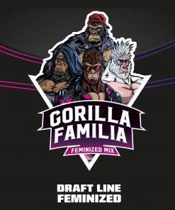 Gorilla Famila x12