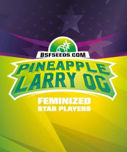Pineapple Larry OG x12