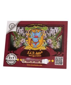S.A.D. Sweet Afgani Delicious Auto 3+1 - Sweet Seeds