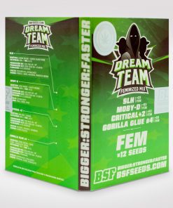Dream Team Feminized Mix x12