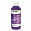 Plagron Sugar Royal 250ml