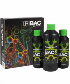 triBAC base