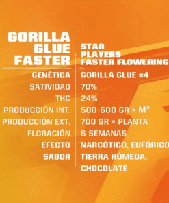 Gorilla Glue Faster Flowering DL x12
