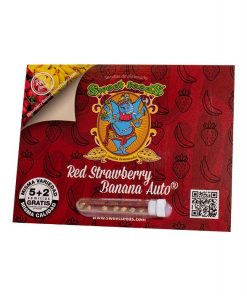Red Strawberry Banana Auto 5+2 - Sweet Seeds