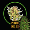 Punto Rojo Auto x7- Delirium Seeds