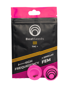HIGH FREQUENCY FEM X4 - BEAT SEEDS