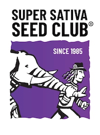 Crystal White Kush x3 - Super Sativa Seed Club